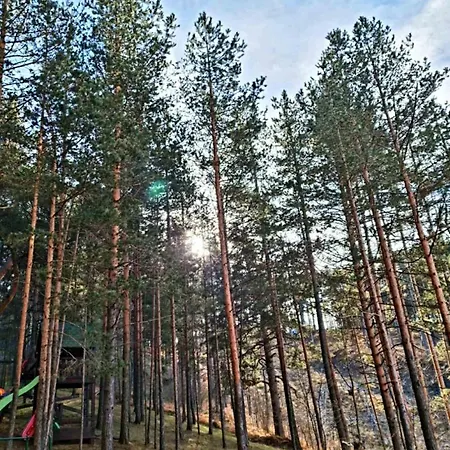 Lux S14 - Pekovic Apartment