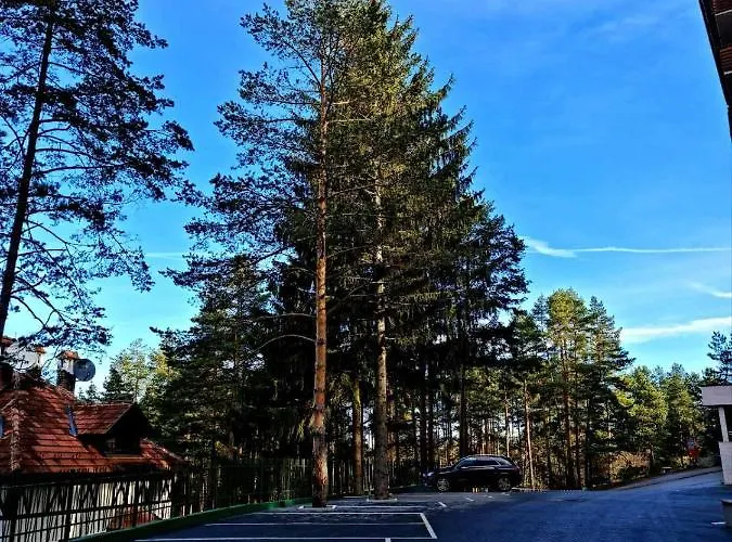 Lux S14 - Pekovic زلاتيبور