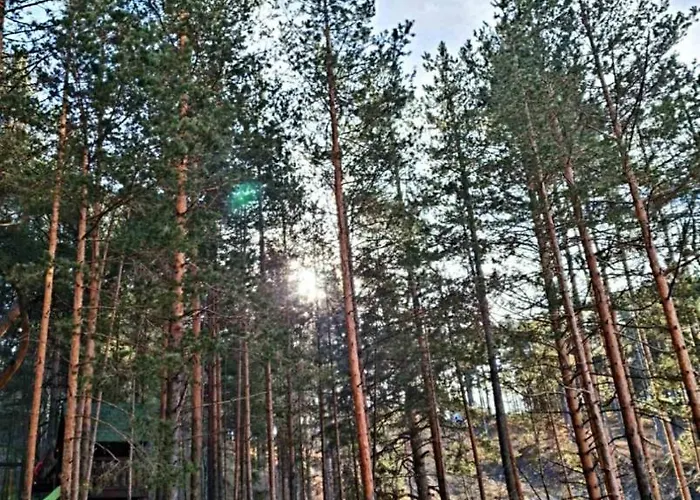 Lux S14 - Pekovic דירה